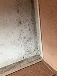 058F0827-C6C8-488C-B3B1-E9EA57FF484D.jpeg