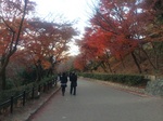 131209-2.jpg
