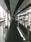 407EDDB3-AD1E-4676-903D-CB6B66848894.jpeg
