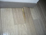 4810EECF-DF20-4594-A5C8-FECA295FFD35.jpeg