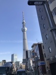 48291A19-CA2C-4170-BD05-F4B987CE287B.jpeg