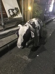4F0C2531-7CCD-40AB-BAA4-20A458D538FC.jpeg