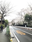 50CD4B4A-323B-4F1A-B6AD-F2F86AD7D21D.jpeg