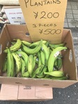 6FFE705F-0253-485A-A1BF-1642ACECC19E.jpeg