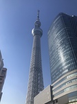 9C9B5389-72CA-4302-B745-15262F6E3ED7.jpeg