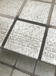 A7187EAB-FBFA-4721-B164-46CBF59E7D2B.jpeg