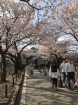 D70853A1-06DA-48C9-AF11-427E8CB949CD.jpeg