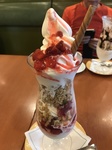 E2324A8E-85A6-4DE8-8267-6C6F875BEDF4.jpeg