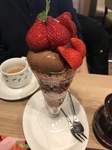 E4F12039-3219-460C-946F-1E3E7345CE27.jpeg