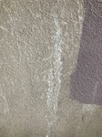 FF721DA3-44F8-4838-8F61-E73191058F05.jpeg