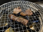IMG_0477.jpeg