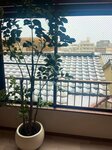 IMG_1666.jpeg