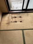 IMG_4993.jpeg